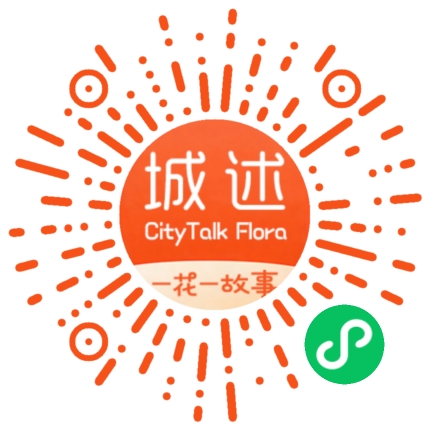城述|Citytalk Flora
